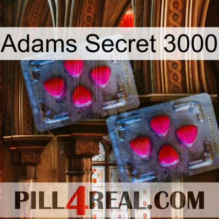 Adams Secret 3000 14